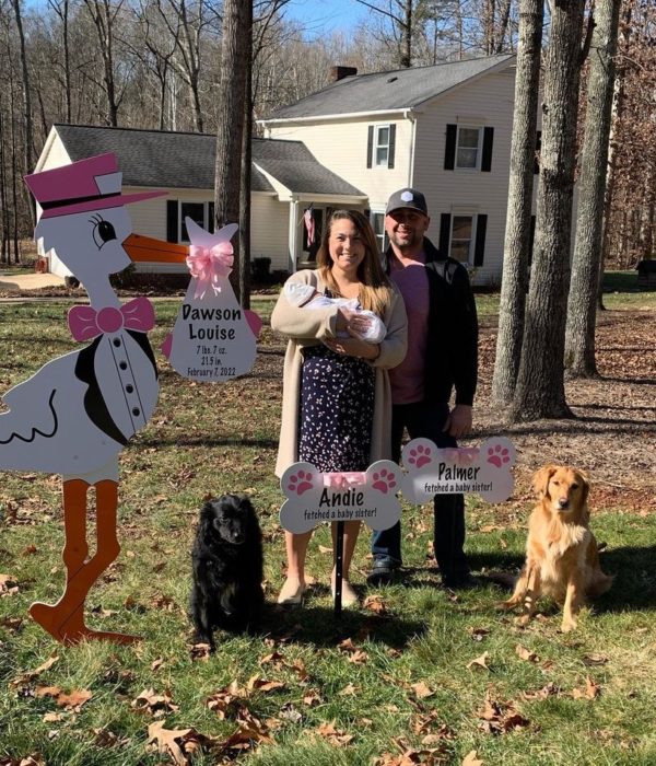 Stork Baby Announcement Sign in Forsyth, Yadkin, Davie and Davidson Counties