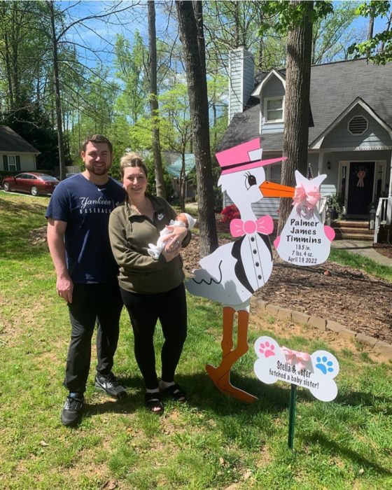 Baby Announcement Stork Yard Sign in the Triad area
