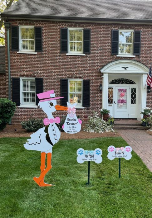 Stork Baby Announcement in Winston Salem, NC