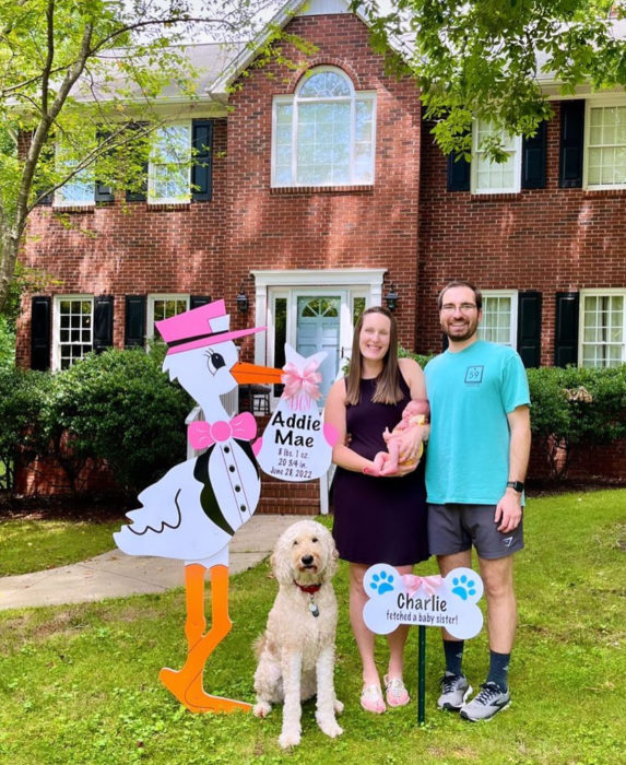 Stork Baby Announcement Yard Sign in the Triad area