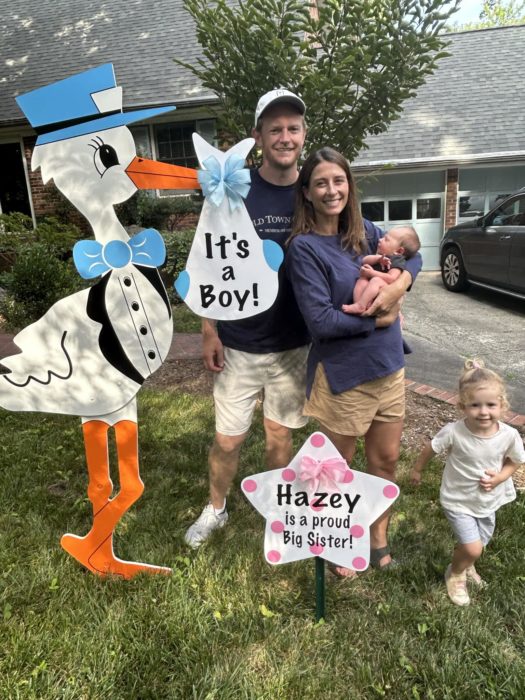 Baby Announcement Stork Signs